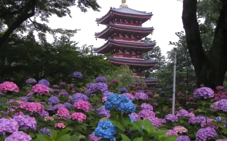 本土寺：松戸市の隠れた花と歴史の宝石