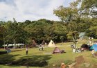 【自然とふれあう贅沢時間】松戸最大級の緑地「21世紀の森と広場」でリフレッシュしよう！