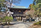 歴史と四季が彩る癒しの空間｜松戸市の名刹「東漸寺」