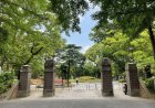 緑と憩いの中心地｜松戸中央公園で心と体をリフレッシュ【松戸市観光スポット】
