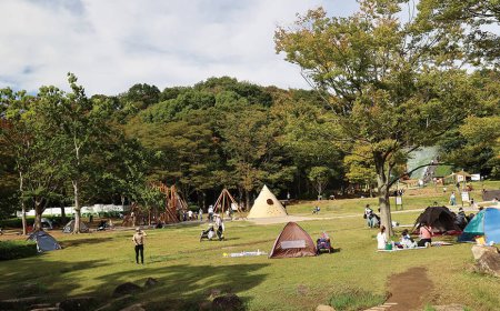 【自然とふれあう贅沢時間】松戸最大級の緑地「21世紀の森と広場」でリフレッシュしよう！