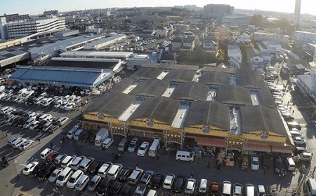 【地元密着！活気あふれる市場体験】松戸南部市場で朝から新鮮グルメと出会おう