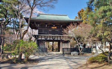 歴史と四季が彩る癒しの空間｜松戸市の名刹「東漸寺」