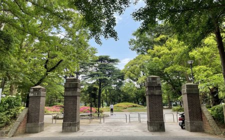 緑と憩いの中心地｜松戸中央公園で心と体をリフレッシュ【松戸市観光スポット】