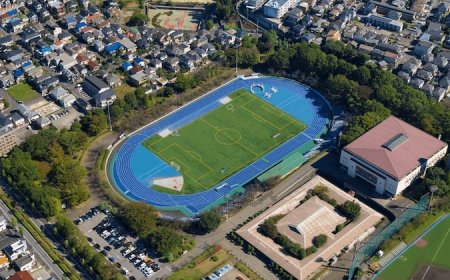 自然とスポーツが融合した癒しの空間「松戸運動公園」—家族連れや健康志向の方におすすめの松戸の憩いスポット