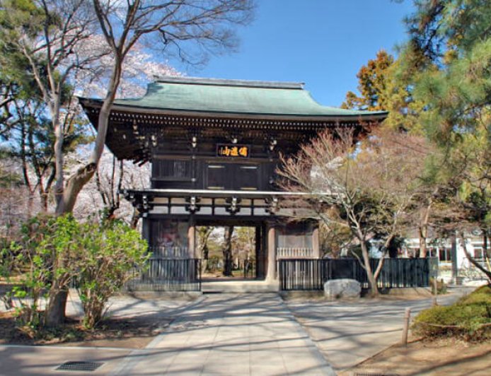 歴史と四季が彩る癒しの空間｜松戸市の名刹「東漸寺」