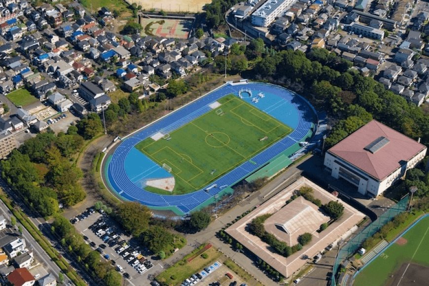 自然とスポーツが融合した癒しの空間「松戸運動公園」—家族連れや健康志向の方におすすめの松戸の憩いスポット
