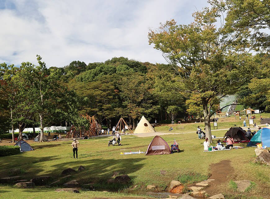 【自然とふれあう贅沢時間】松戸最大級の緑地「21世紀の森と広場」でリフレッシュしよう！