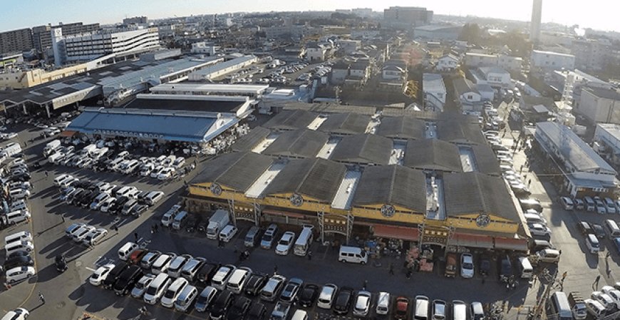 【地元密着！活気あふれる市場体験】松戸南部市場で朝から新鮮グルメと出会おう