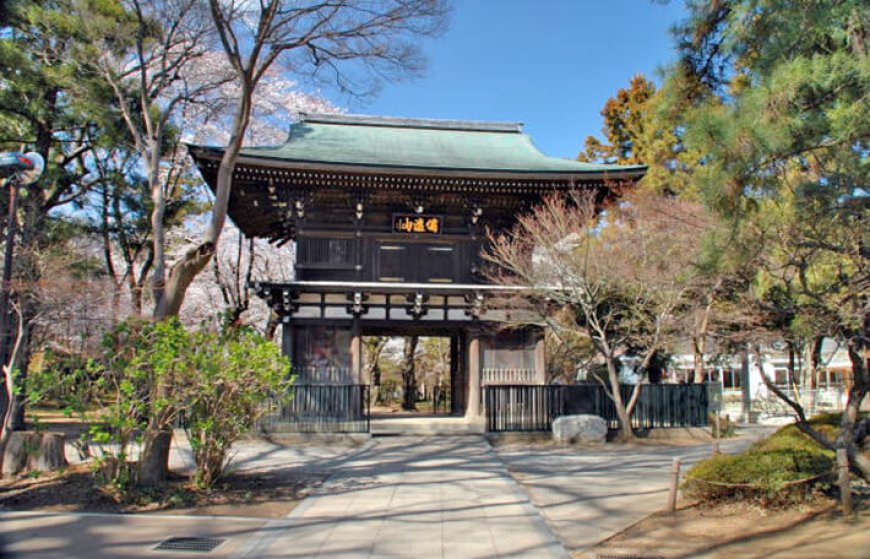 歴史と四季が彩る癒しの空間｜松戸市の名刹「東漸寺」