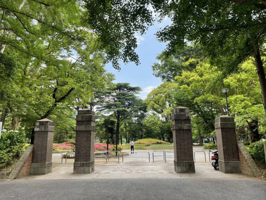 緑と憩いの中心地｜松戸中央公園で心と体をリフレッシュ【松戸市観光スポット】